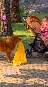 1.4M views · 9.5K reactions | Un perro amable ayuda a una mujer en el parque. | Fabiosa Peru | Facebook