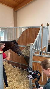 7.1K views · 26 reactions | Hinter den Kulissen bei Raphael Netz, seinem Team und vor allem seinen Pferden ✨ Sie sind ein Teil unserer Reihe „Stallbesuche“ - das volle Video findet ihr hier https://youtu.be/vDhMFDRUY14?feature=shared Wen sollen wir 2025 mal zuhause besuchen? Schreibt es in die Kommentare ✍✏️ | Deutsche Reiterliche Vereinigung e.V. (FN) | Facebook