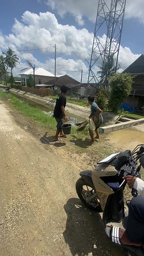 Mancing Ikan Tawes: Tips dan Teknik Terbaik