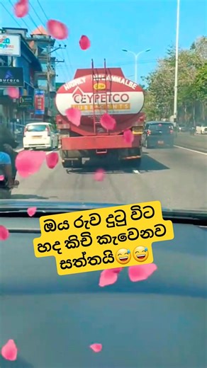 ඔය රුව දුටු විට හද කිචි කැවෙනව සත්තයි😅😘 #slshorts #shihanmihiranga #viral