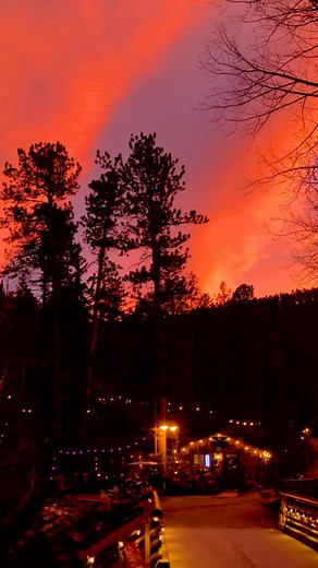 Pine Haven Cabins on Reels