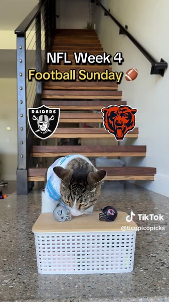 NFL Week 4 Highlights: Sunday Game Recaps