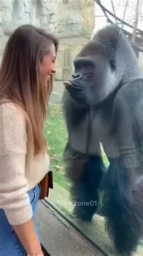 #funny #crazilyfunny #shorts #viral