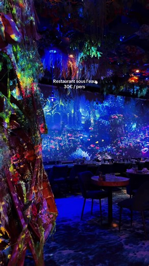 Restaurant sous l’eau à Paris – expérience immersive à 30€/pers