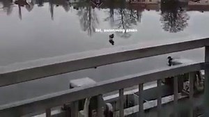 When you are too strong | Gaming Info