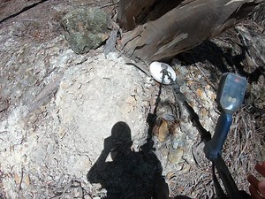 16K views · 381 reactions | It’s got to be gold! | GOLD-COIN & RELICS AUSTRALIA | Facebook