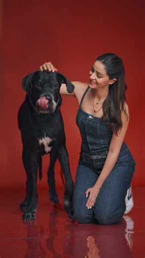 Drools | Pet Food on Instagram: "What would you call our TV show? Presenting the controlled chaos of our shoot day like a reality TV , but the real question is : would you watch ? #droolsindia #ananyapanday #behindthescene #paidpartnership #ad"