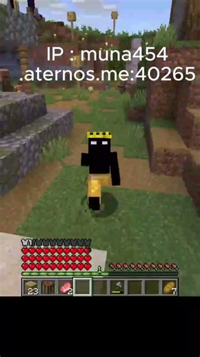 "You Won't Believe This Minecraft Server! 😱" #minecraft