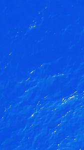 AAA Trip Canvas Tips: For families traveling with teens, check out the best cruise lines for teenagers. Best for Onboard Activities: Royal Caribbean International Best for Teen Clubs: Carnival Cruise Line Best for Families with Kids of Different Ages: Disney Cruise Line Best for Recreational Tournaments: Princess Cruises Best for Entertainment Options: Holland America Line Best For Family Accommodations: Celebrity Cruises https://bit.ly/3v0Mu7R | AAA