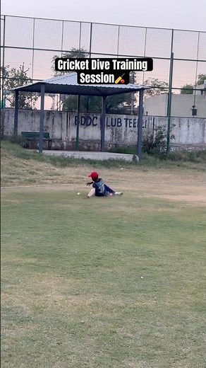 Cricket Dive Training Session #cricket #nevergiveup #cricketpractice #fielding #fieldingdrills