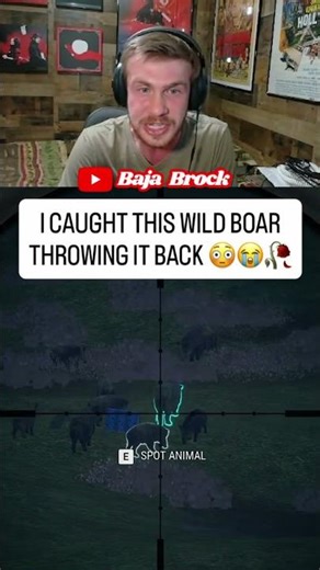 THE GAME FEEDER HAD THIS WILD BOAR ACTING FREAKY!! theHunter: Call of the Wild