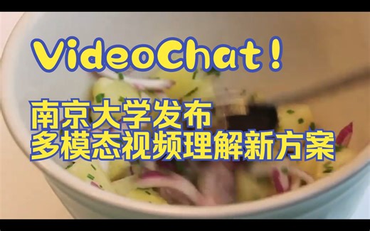 VideoChat！南京大学发布多模态视频理解新方案~