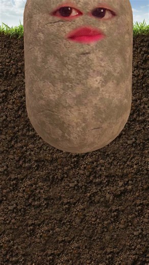 Delicious Potato Recipe Ideas You Need to Try