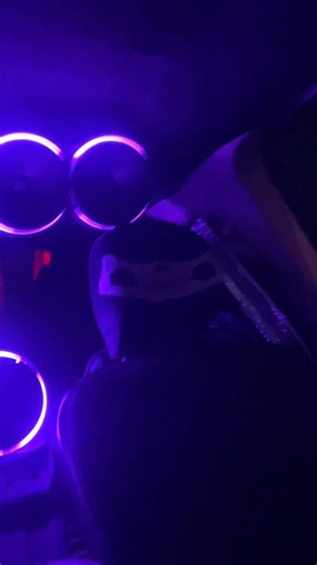 Exploring the Gorilla Knobz Sound System at Concert Halls