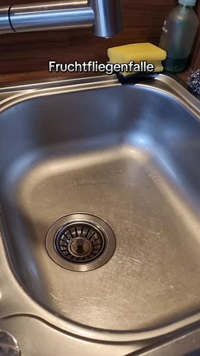 Effektive Fruchtfliegenfalle mit einfachen Tricks