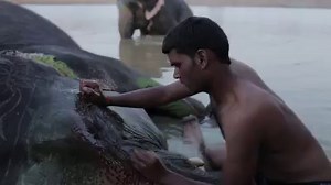 Flash Sale: Just $20 today (reg. $99)! Just because you’re a photographer doesn’t mean you can’t shoot compelling video. Join photojournalist Jessica Dimmock to learn how to use your photographic eye to become a videographer. | CreativeLive