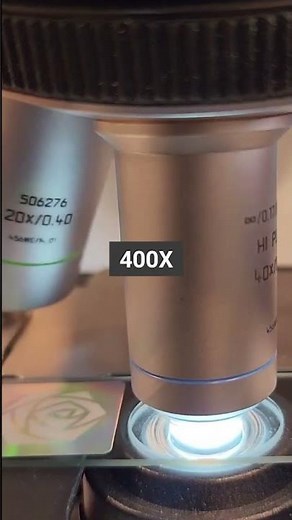 Skeletal muscle at 25x, 40x, 100x, 200x and 400x magnification | Under the microscope 🔬