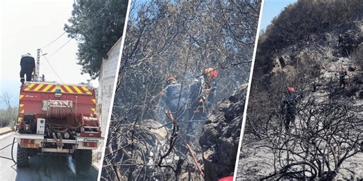 Feux de forêts en Algérie : plusieurs incendies déclarés à travers tout le pays
