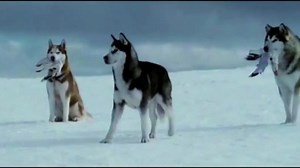 Wolf Hoffmann (Accept) - The Moldau (Music Video) HD