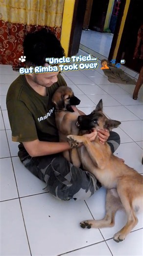 Uncle tried to keep up with Rimba 😂