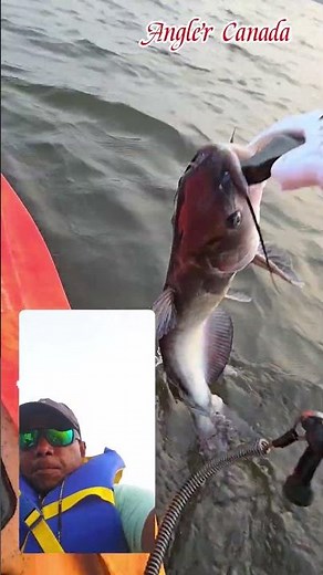 This Catfish Owed Me Nothing!Sent It Back Home 🔥🔥🔥