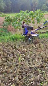 155K views · 567 reactions | Power tiller tractor ma back gear ko test gariyo - results hernu hai ta kasto cha comment garnu hola #tractor #kisan #testing #results #farmerlife | Agriculture activities | Facebook