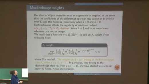 【学术讲座】退化与奇异问题的liouville型定理和解的局部行为