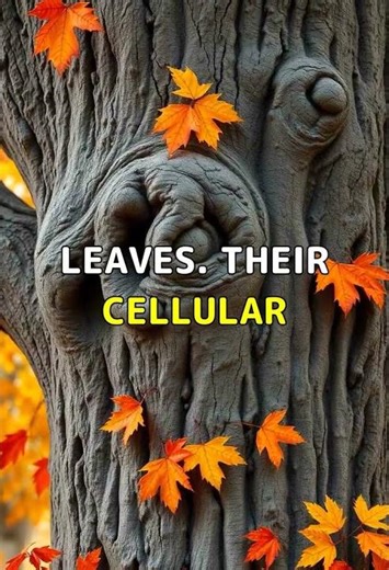 How Trees Remember Seasons Without Brains. #Shorts