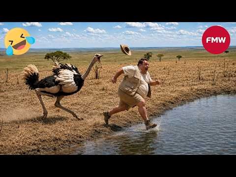 Try Not To Laugh 🤣 Top 100 Funniest Videos Ever 😂 | Funny Videos Compilation 2026 #205
