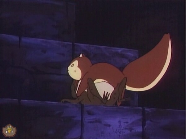 Squirrel - Animal TF: Toad