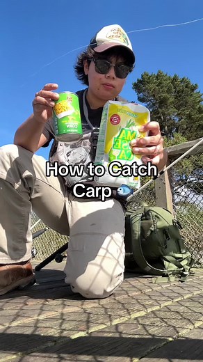 How to Catch Carp Using Packbait: A Simple Guide