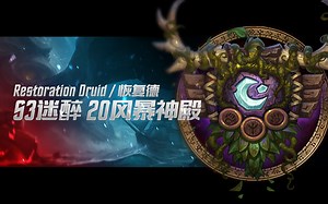 8.2奶德 S3迷醉 20风暴神殿 第一周3小时低保 强韧 激励 重伤