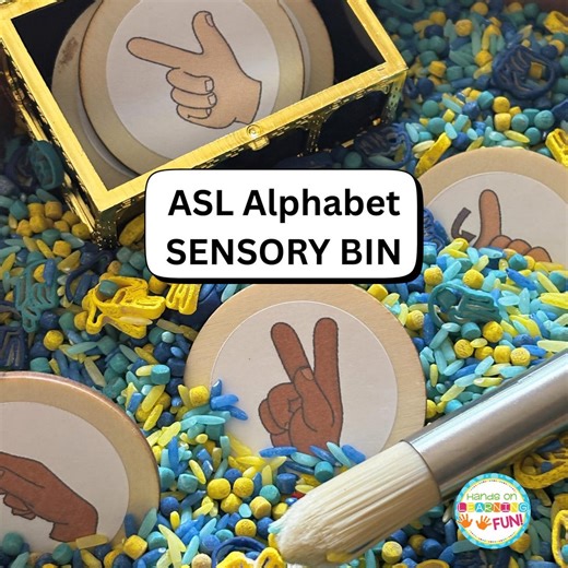 Alphabet Sensory Bin | ASL Sign Language Treasure Hunt Game - Etsy