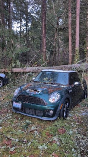 2008 Mini Cooper S: Good News But Mostly Bad News #mini #pnw #cartok #r56 #pontiac #wtf #minicooper