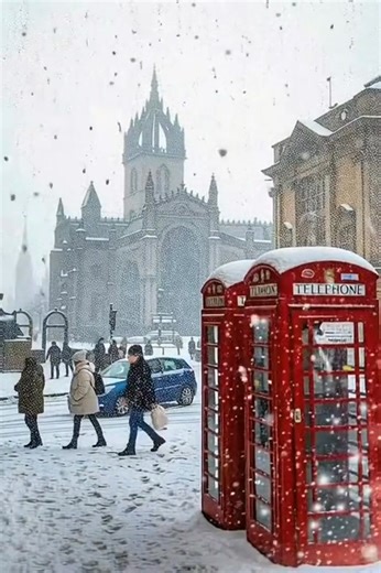 31K views · 1.8K reactions | Have a Jolly Christmas xoxo  | My Christmas Countdown | Facebook