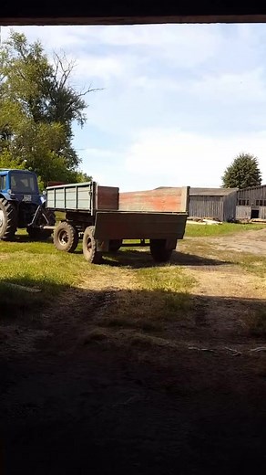 #ячмень2021 #уборочная #лето2021 #мтз