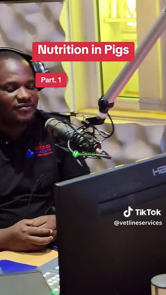 Nutrition for Pigs: Essential Feeding Tips for Farmers