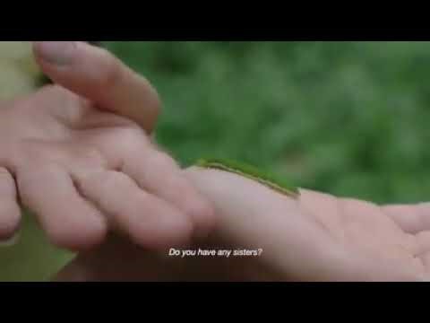 Verde (2018) | Teaser