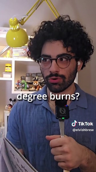 Dungeons and Dragons Pet Tier List Explained