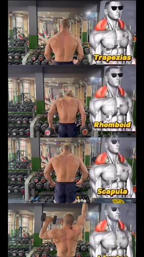 ✅Highly effective workout for your traps muscle #kamalc32 #trapsworkout #traps#gymworkout #workoutroutine #foryou#shrugscapula #trapeziusworkout #trapezius #fitness#trapstraining #trapsday #workout #explorepage #gym #fitness #fitnesslife #fitnessgoals #fitnessmodel #fitnessjourney #fitnessmotivation #gym #gymlife #gymrat #gymtime #GymTok #bodybuilding #bodybuildingmotivation #bodybuildinglifestyle #bodybuildingtips #bodybuilder #workout #workouttips #workoutmotivation #workoutfit | kamalc32