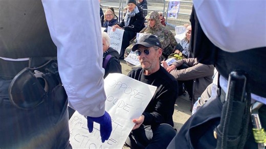 Massive Attack musician Robert Del Naja arrested at Palestine Action protest