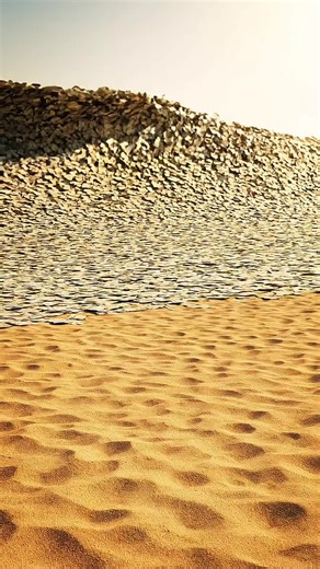 Satisfying ASMR Dollar and Money Videos