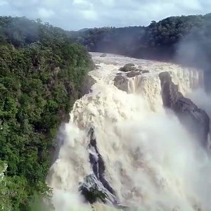 #BarronFalls #Queensland | The Sydney News | Facebook