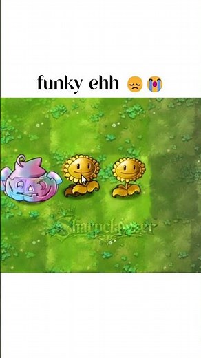 funky ehh