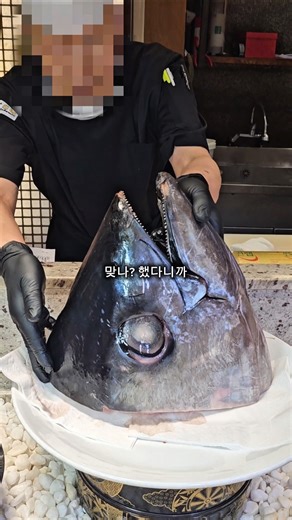 여기가 뷔페가 맞나요? #status #바르미심비디움2사당점 #사당맛집 #무한리필 #서초맛집 #뷔페