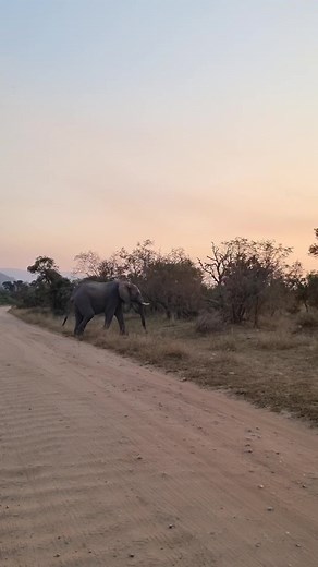 6.9K views · 171 reactions | Beautiful sunset in the African Bush Kingdom | African Bush Kingdom | Facebook
