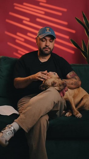 Historias sin raza: Canela la pitbull con tres patitas - Capítulo 1