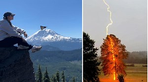15 Photographs Captured At Exactly The Right Moment