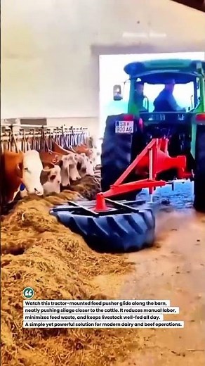 Feed Pusher Tractor Attachment Feeding Cattle Fast #FarmTech #CattleFeeding #AgriTools