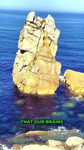 Textures Disappear | The Science Behind Natural Textures